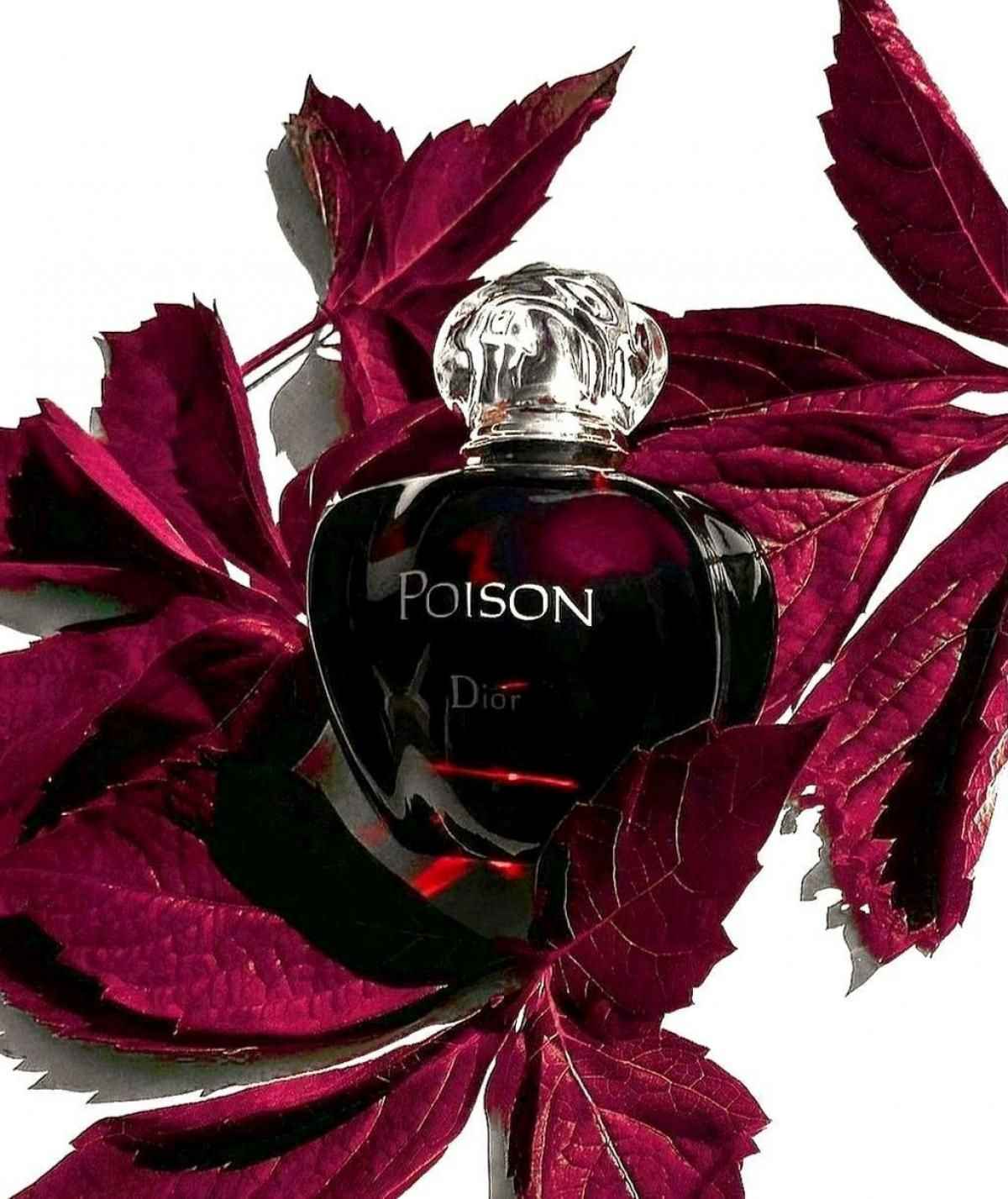 Hypnotic Poison Eau de