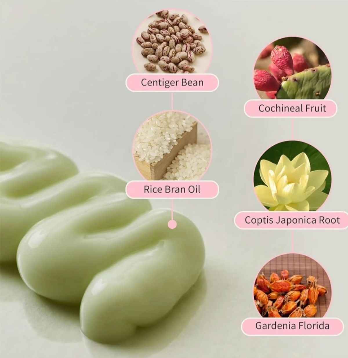 Beauty of Joseon Jello Skin Massage Cream for Face & Body